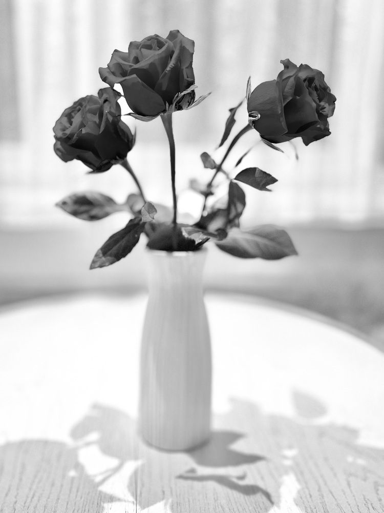 Photograph by Александр Мокров