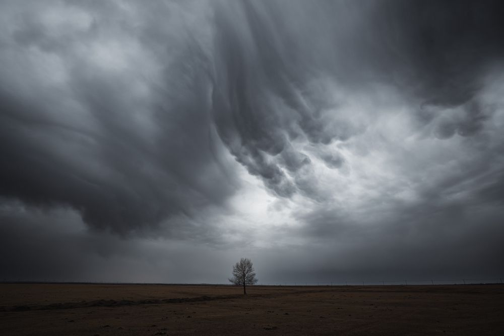 four seasons of a tree