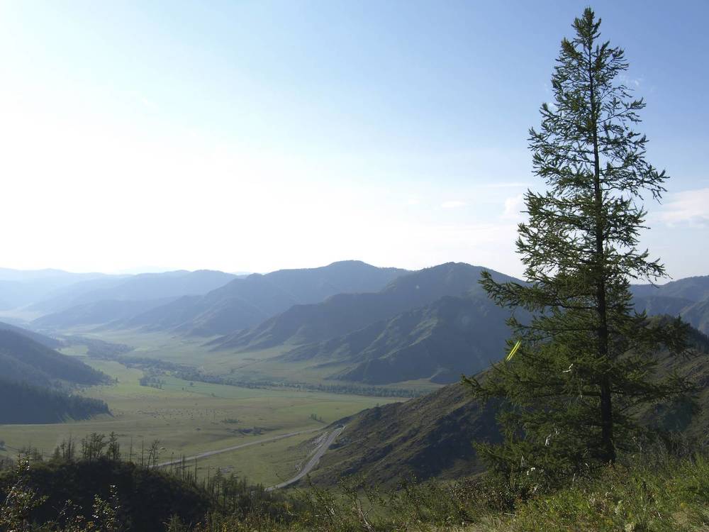 Photograph by Александр Журавлев