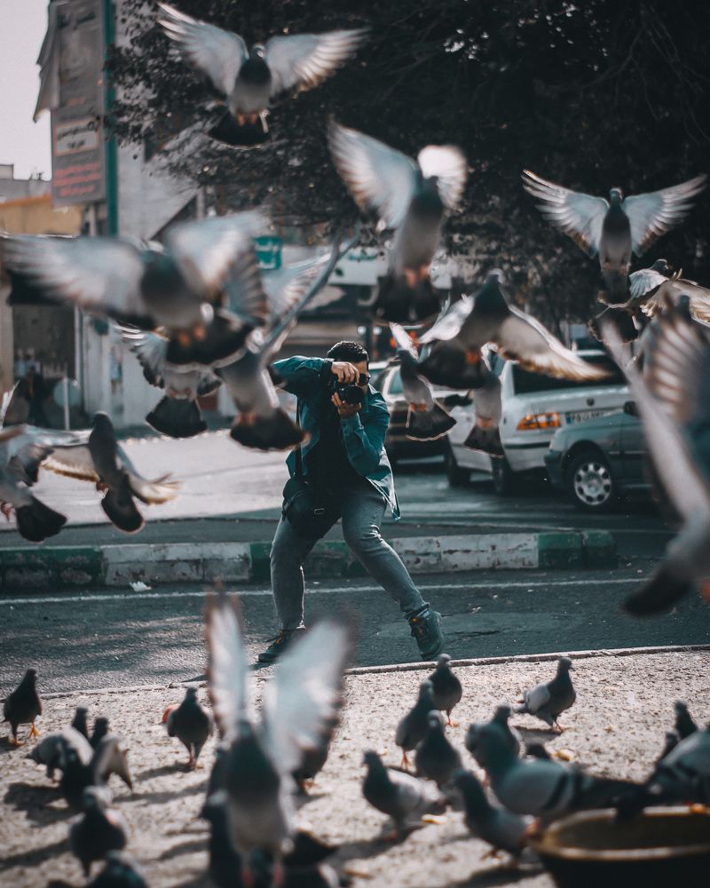 Фотография автора Mohammad Mohammadpour