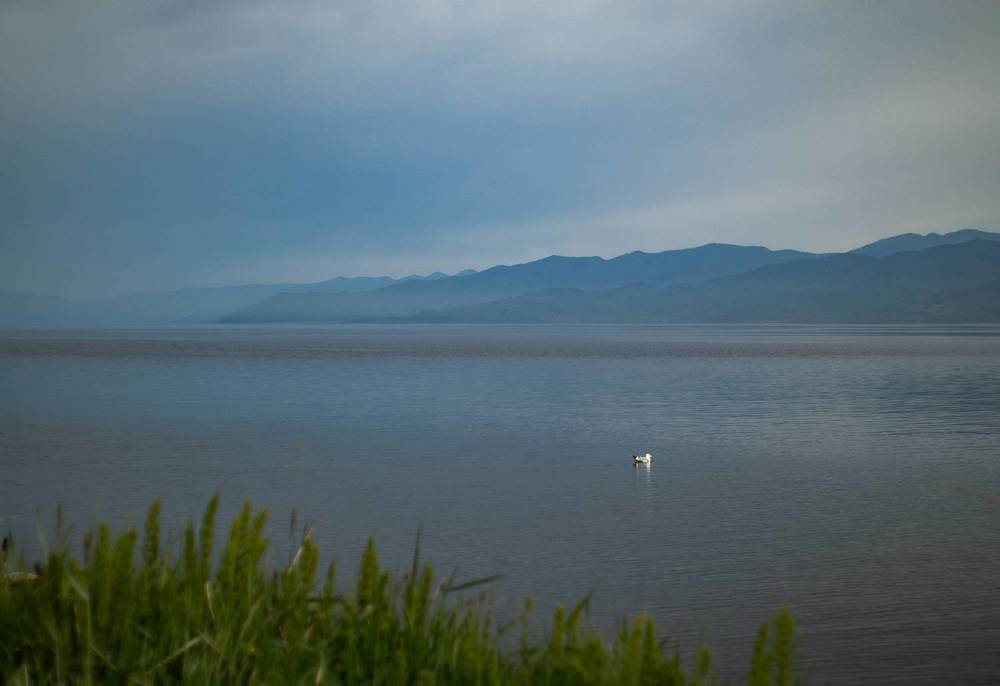 Photograph by Elena Kilina