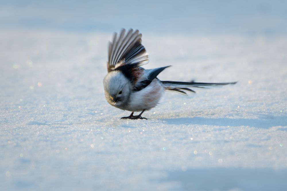 Photograph by Александр Перегудов