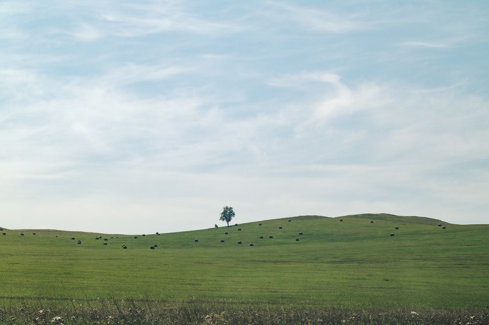 Photograph by Elena Kilina