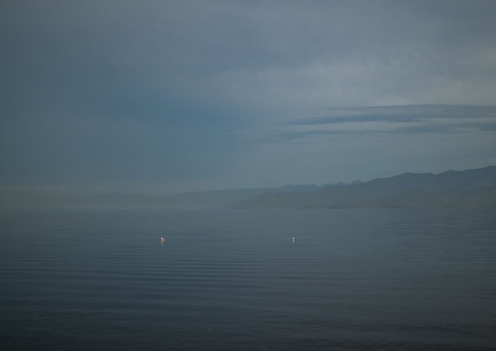 Photograph by Elena Kilina