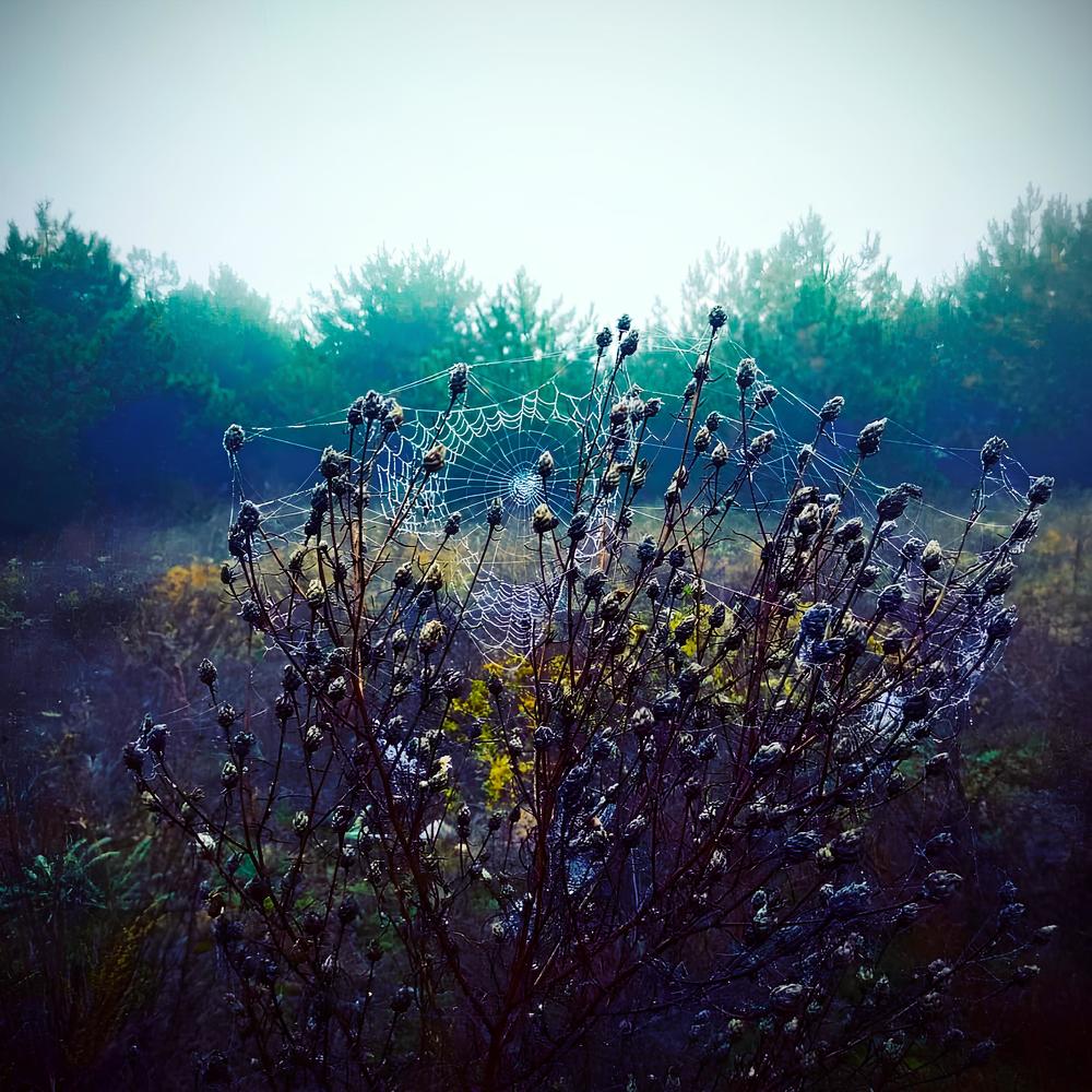 Photograph by Роман Маханов