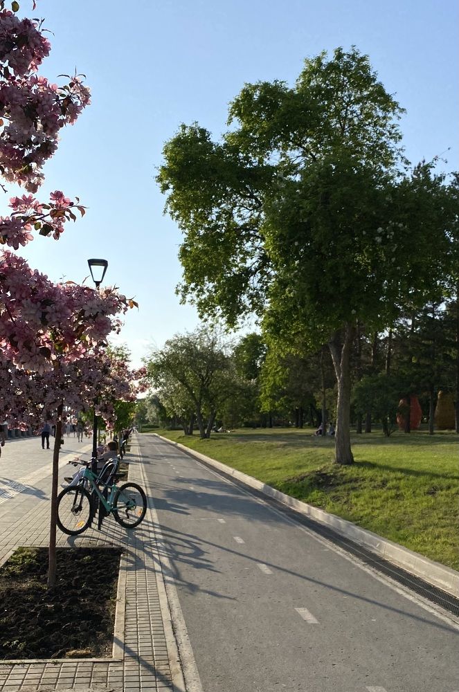 Photograph by Алиса Лукина