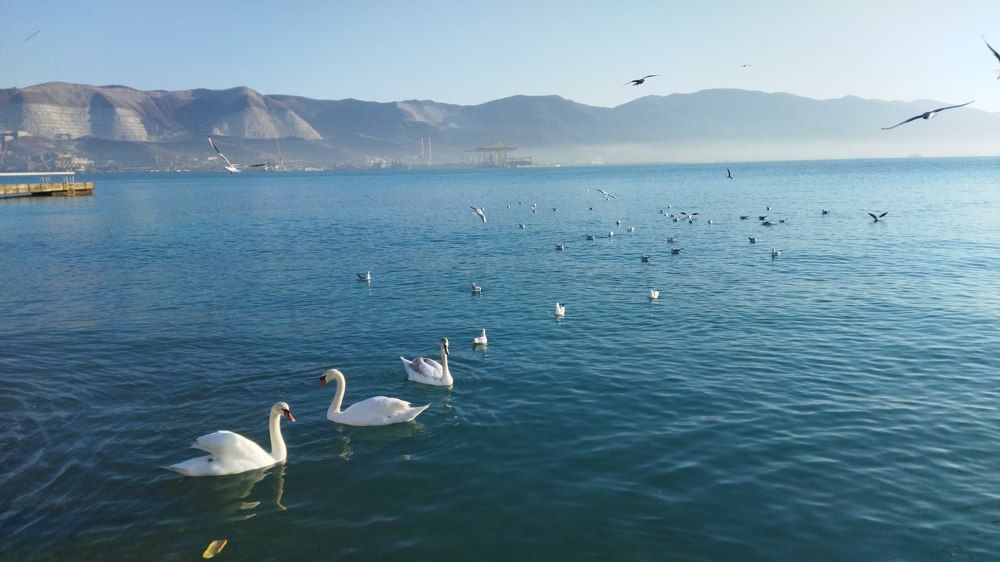 Photograph by Татьяна