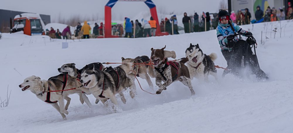 Похищение рукавички.