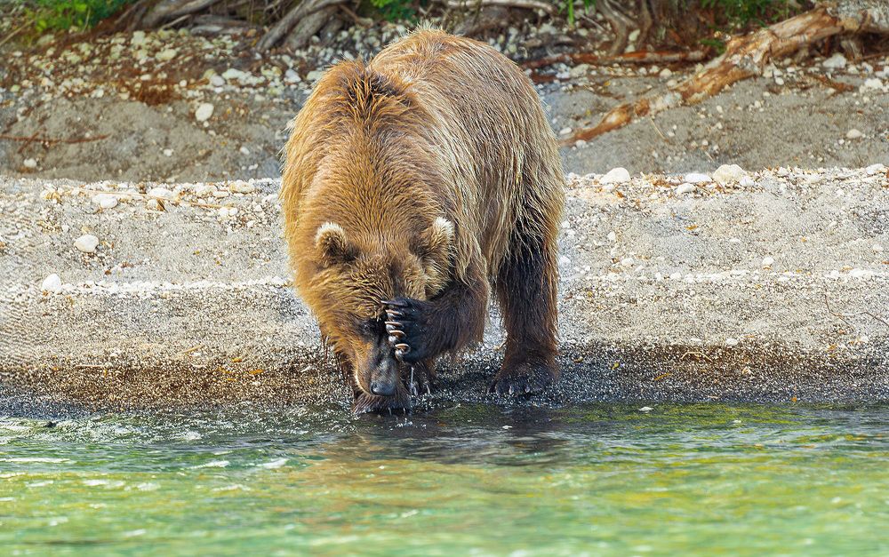 Водные процедуры.