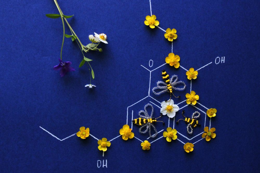 Фотография автора Екатерина Пачина