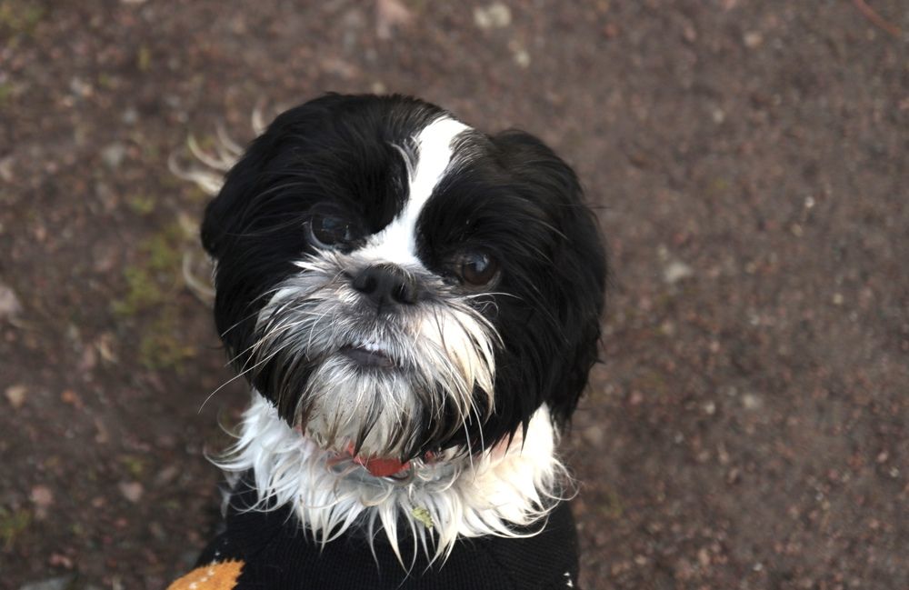 Photograph by Yana Egorova