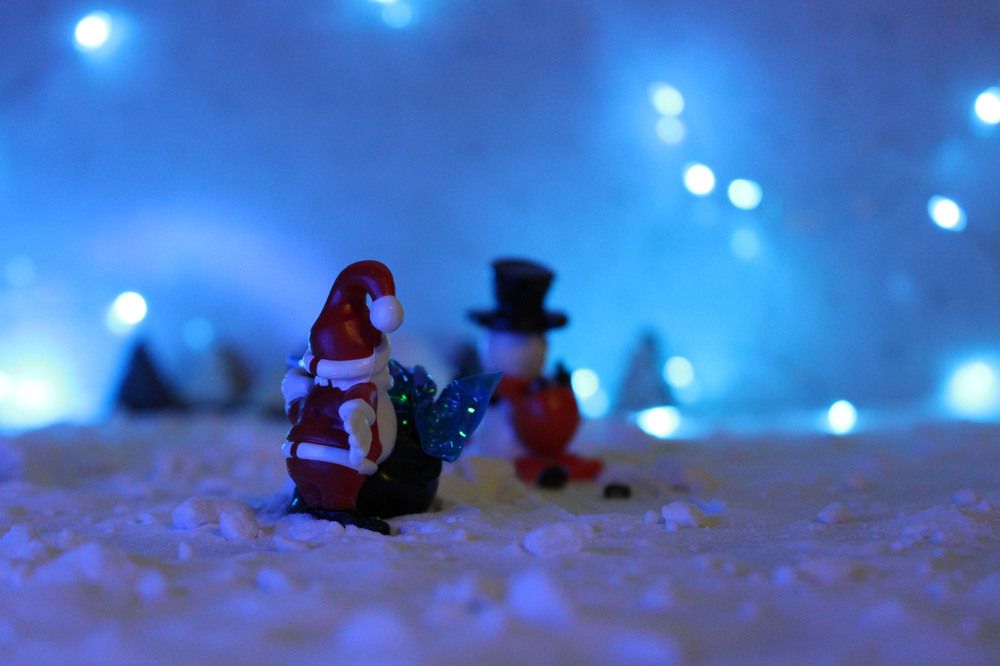 Фотография автора Екатерина Пачина