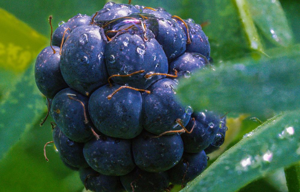 Photograph by Vitaly Zubkov