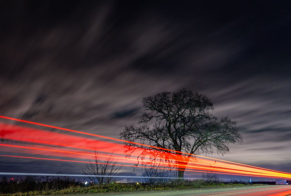 Photograph by Vitaly Zubkov