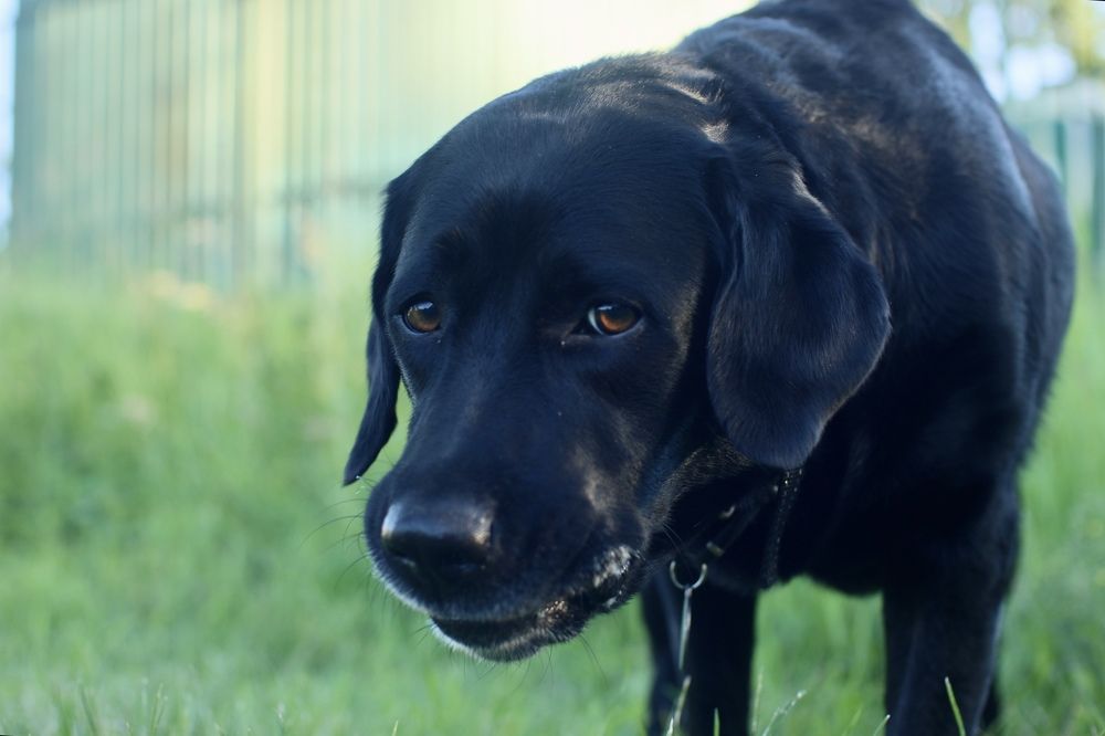 Photograph by Yana Egorova