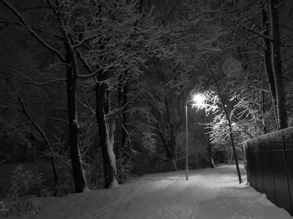 Photograph by Андрей Осмоловский