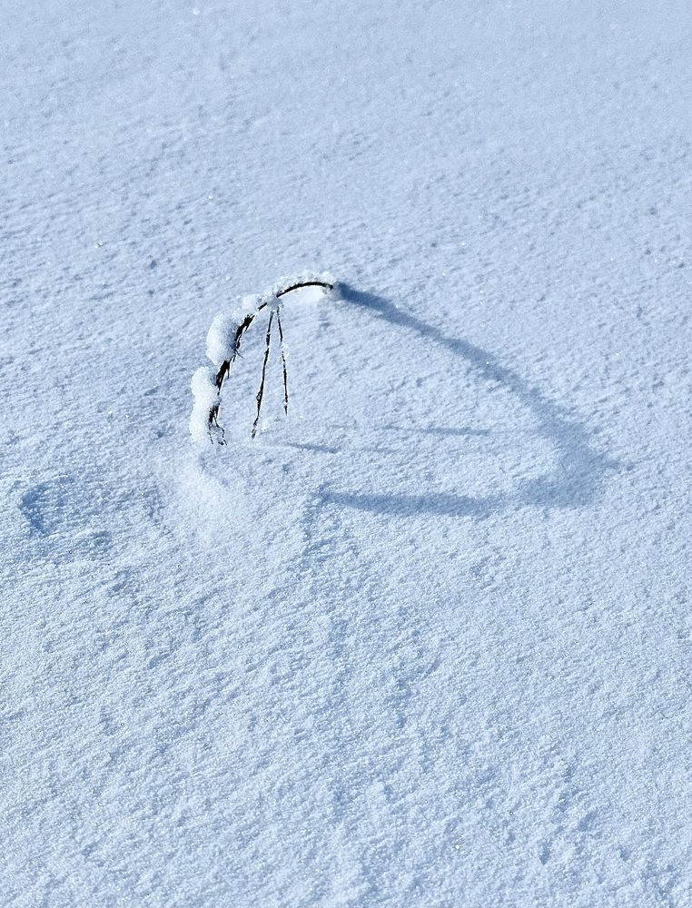 Photograph by Ольга