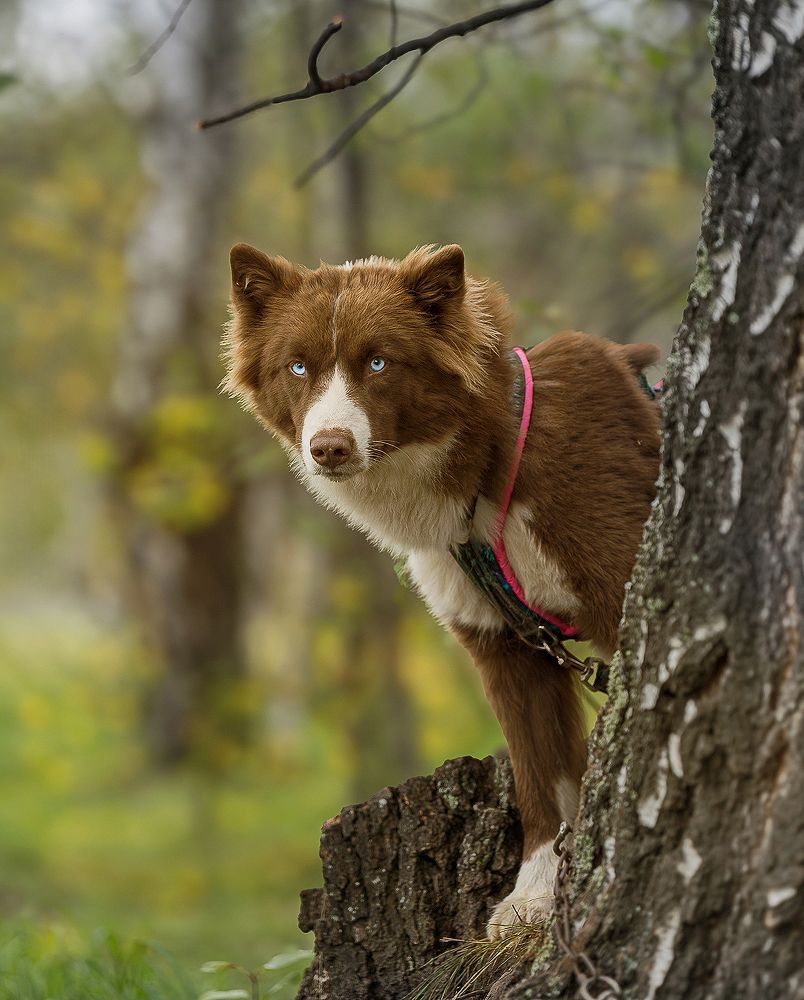Photograph by Ольга Ченцова