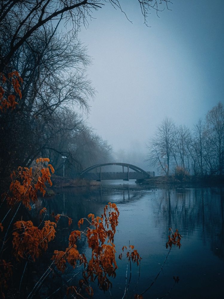 Photograph by Сергей Никифоров