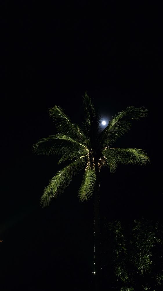 Photograph by Ксения Супрун