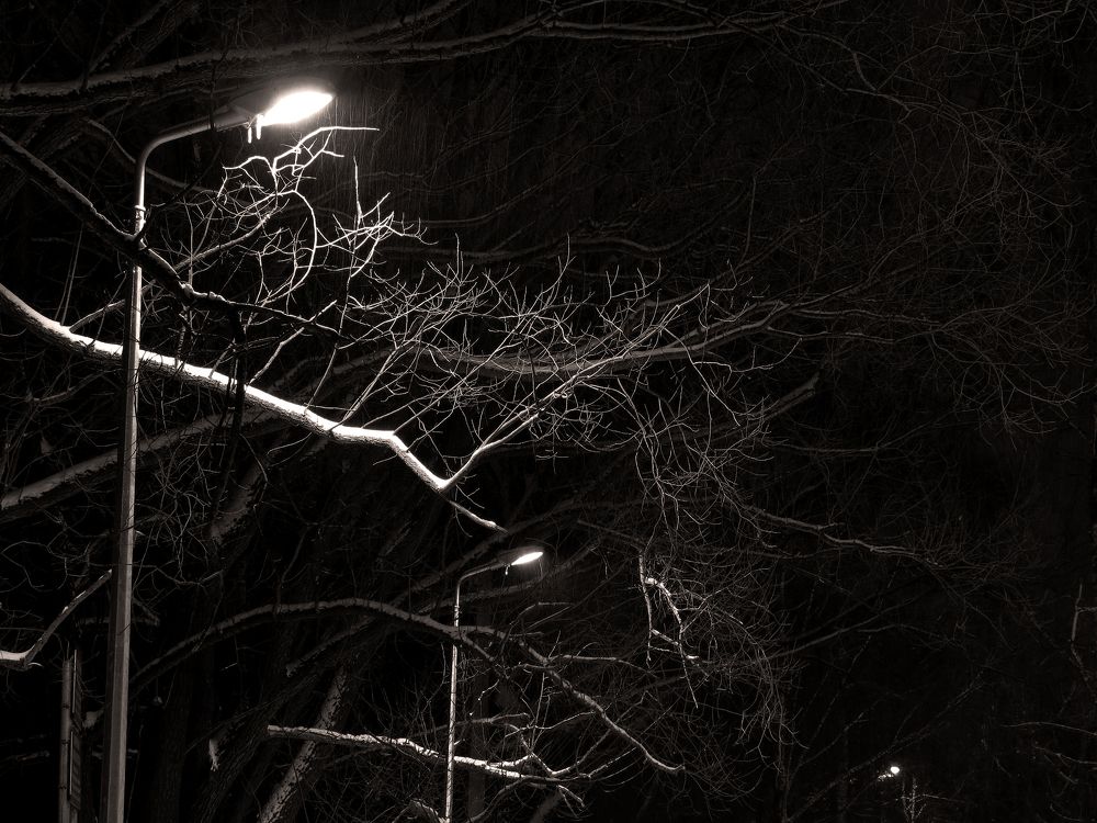 Photograph by Андрей Осмоловский