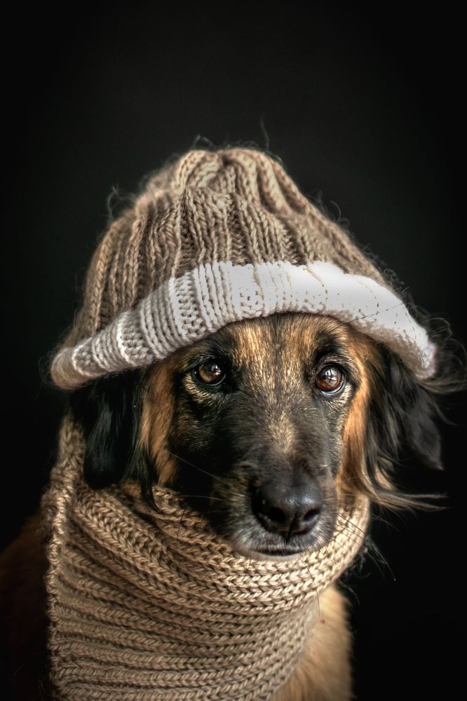 Photograph by Альфия Агзами