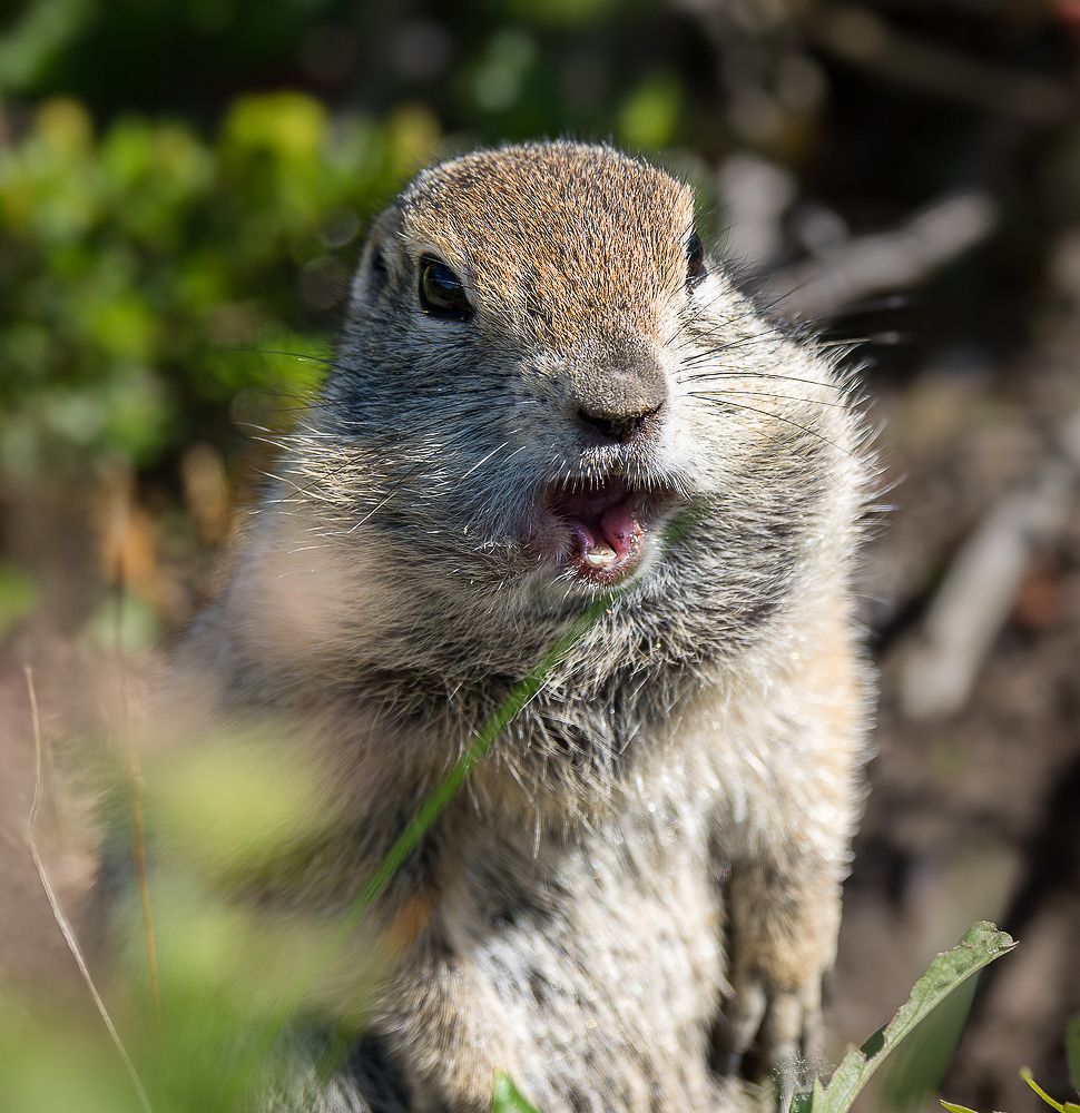 Photograph by Ольга Ченцова