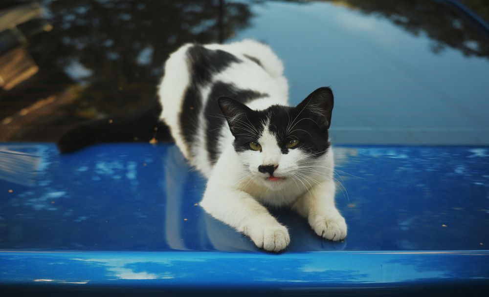 Photograph by Yana Egorova