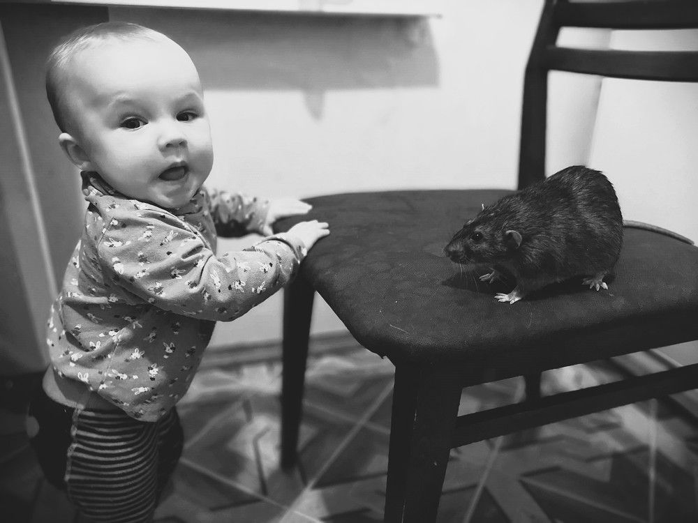 Фотография автора Aliaksandr Kazhdan