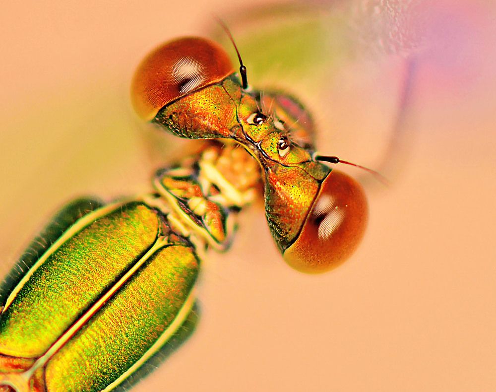 Photograph by Marjo Steffen