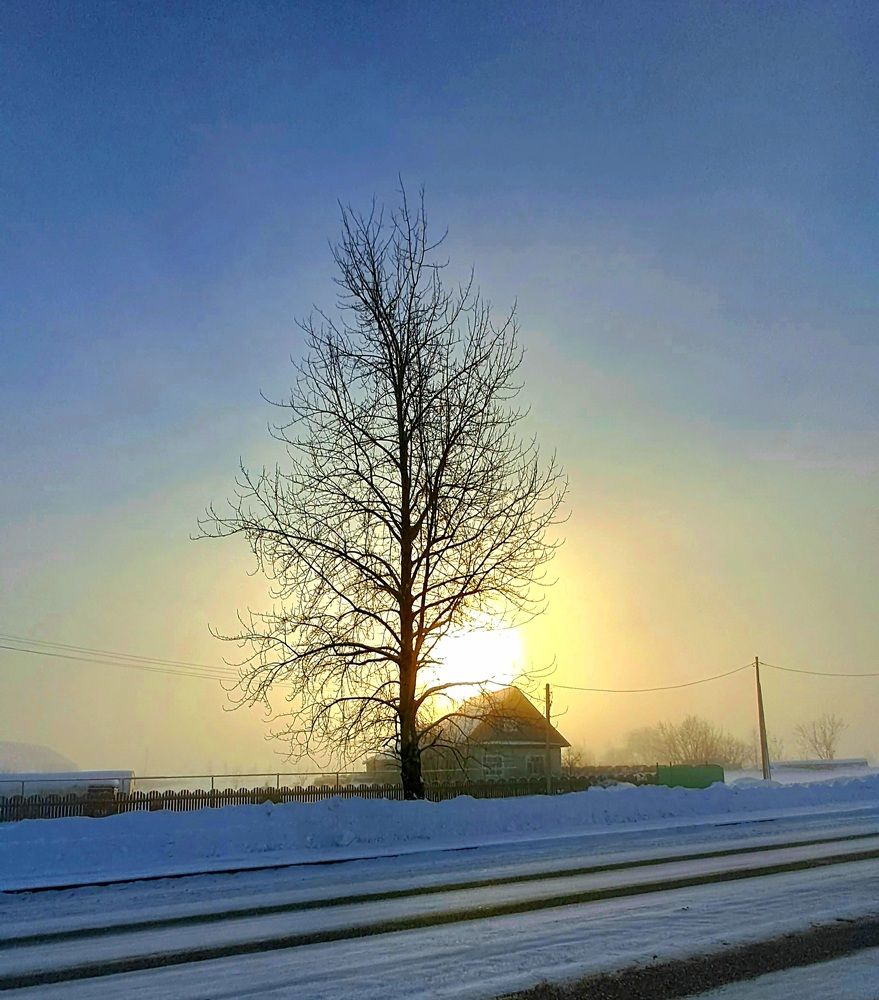 Photograph by Николай Худяков