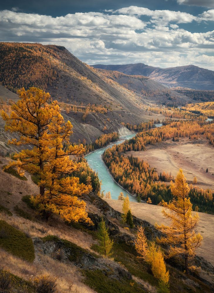 Там, где гуляет ветер