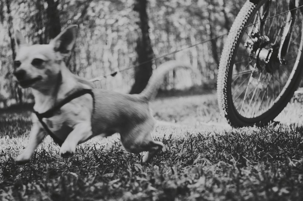 Photograph by Yana Egorova