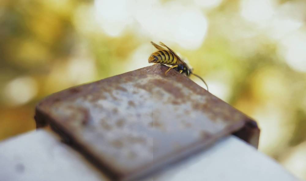 Photograph by Yana Egorova