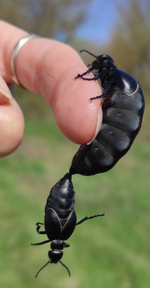 Photograph by Виолетта Клюева