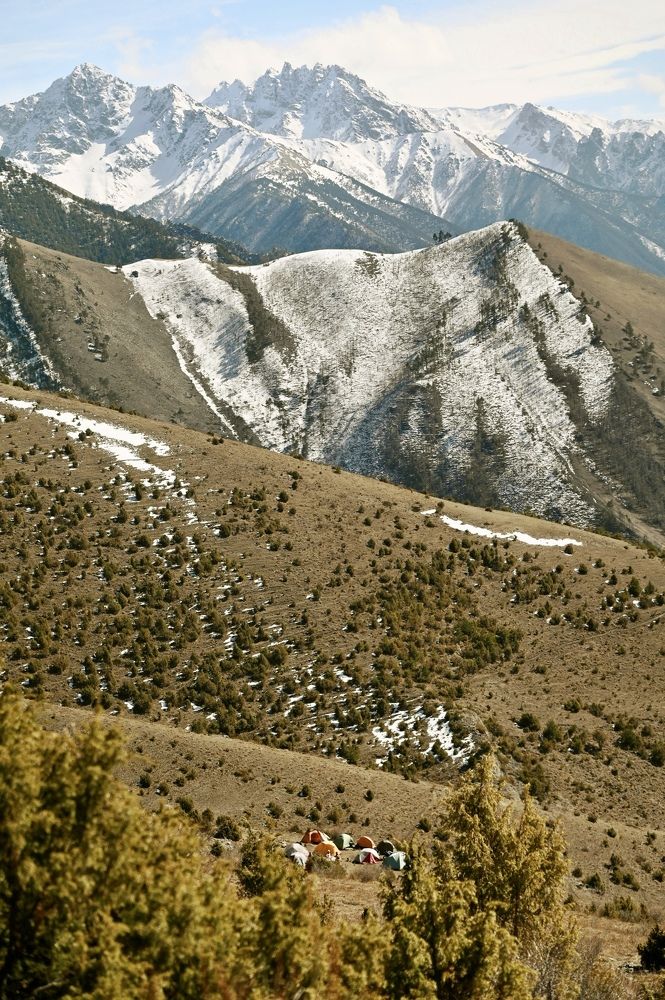 Photograph by Iva Ajva