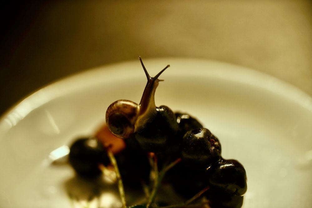 Photograph by Yana Egorova