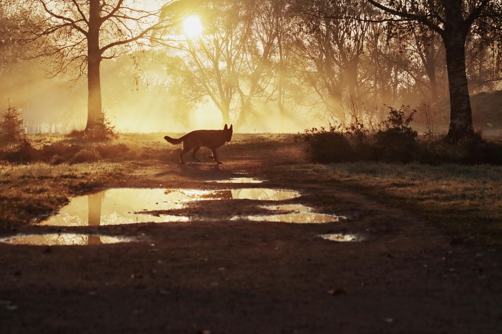 Photograph by Yana Egorova