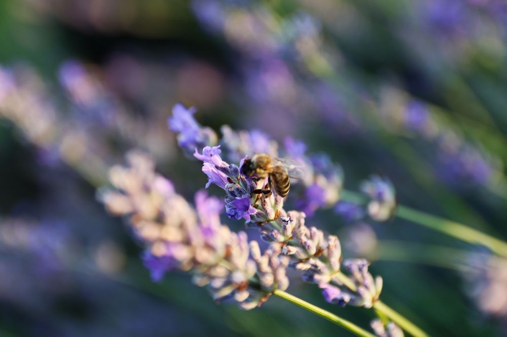 Photograph by Наталья Юденкова