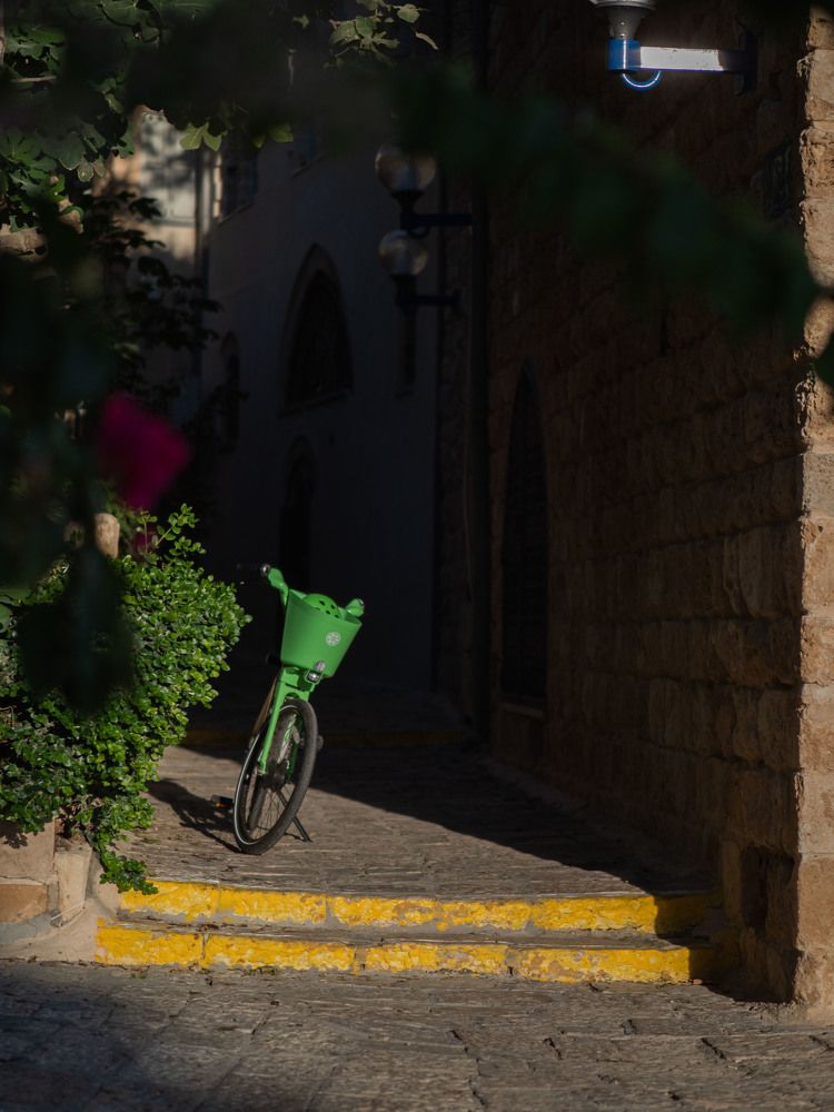 Фотография автора Доляна Ашкова