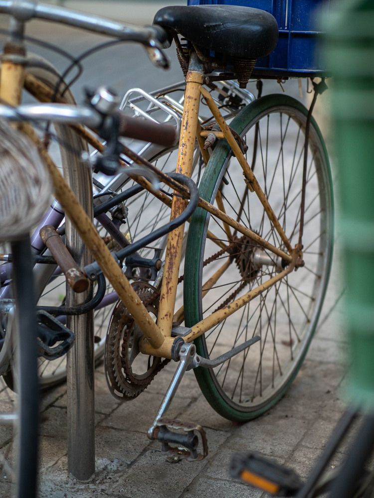 Фотография автора Доляна Ашкова