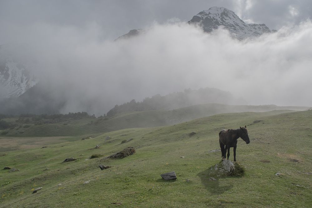 Фотография автора Шипунова Ирина