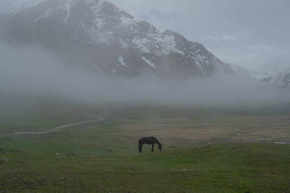 Фотография автора Шипунова Ирина