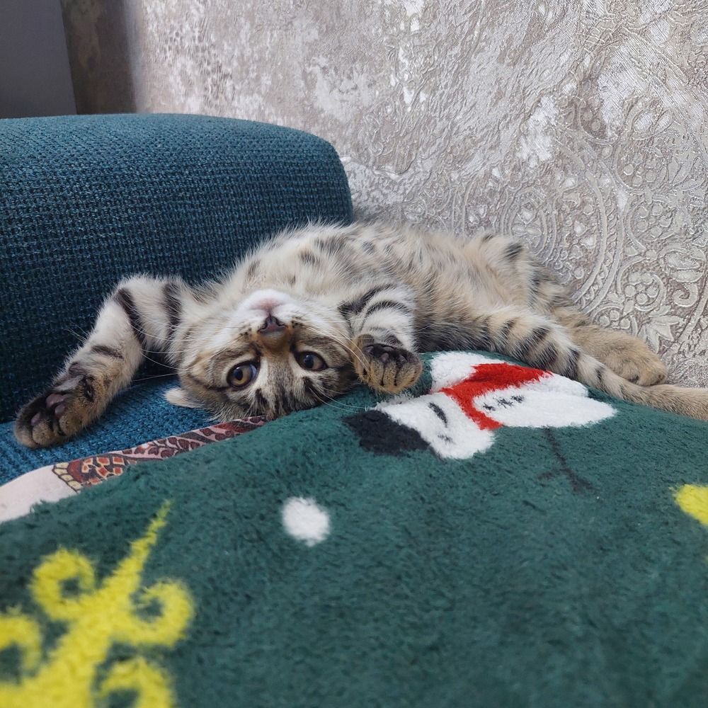 Photograph by Natalia Kudravseva