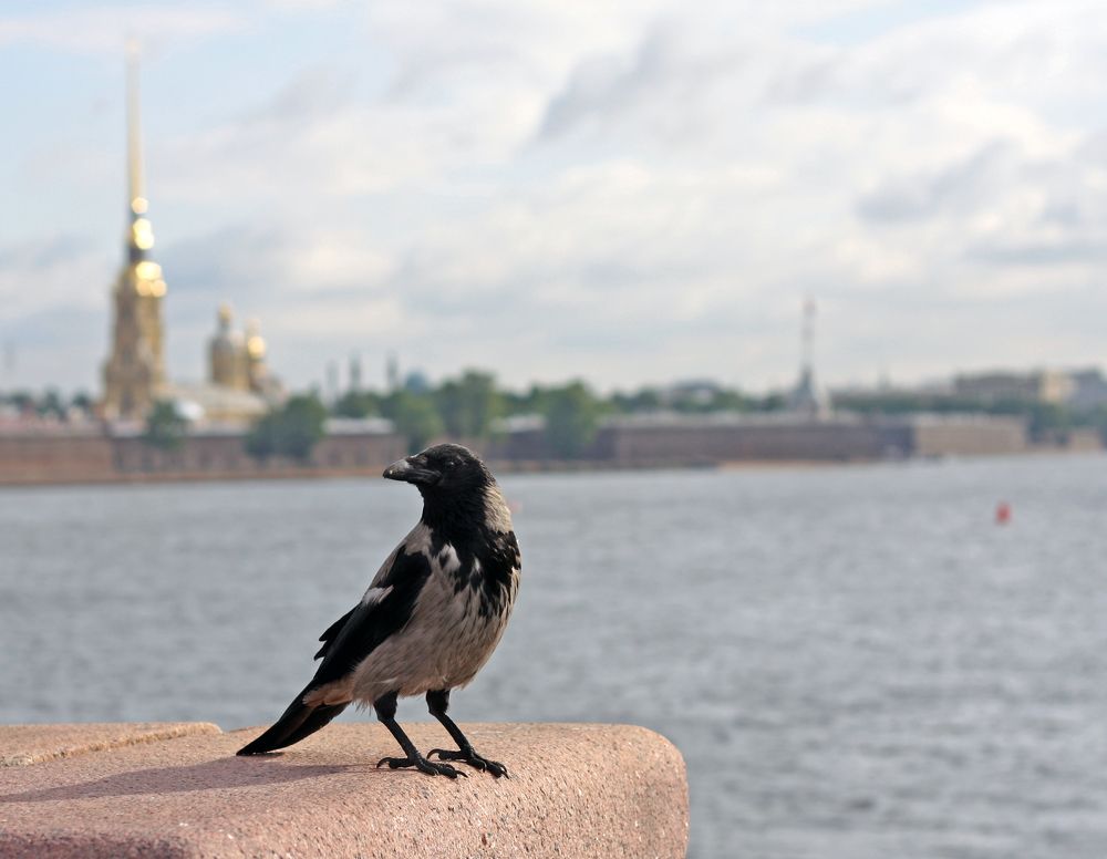 Photograph by Татьяна