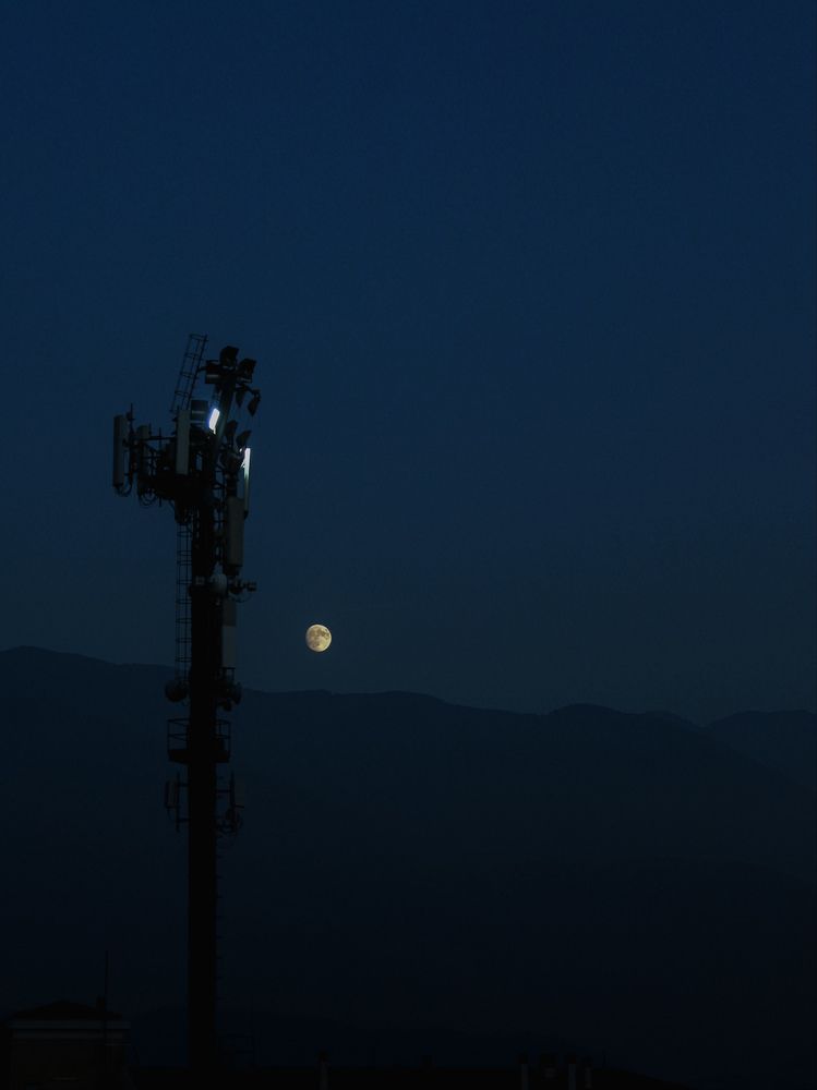 Photograph by Iryna Shyshkina