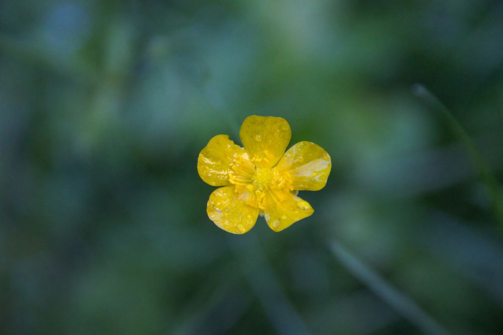 Фотография автора Georgii Eletskikh