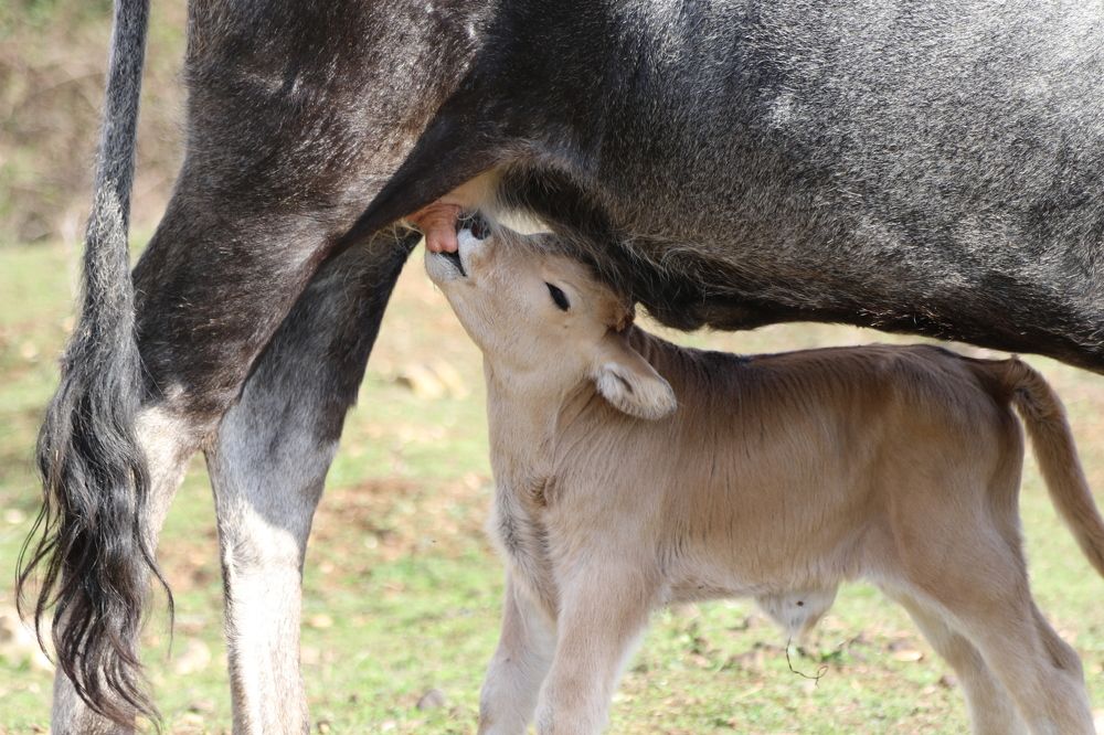 Photograph by Nadzeya