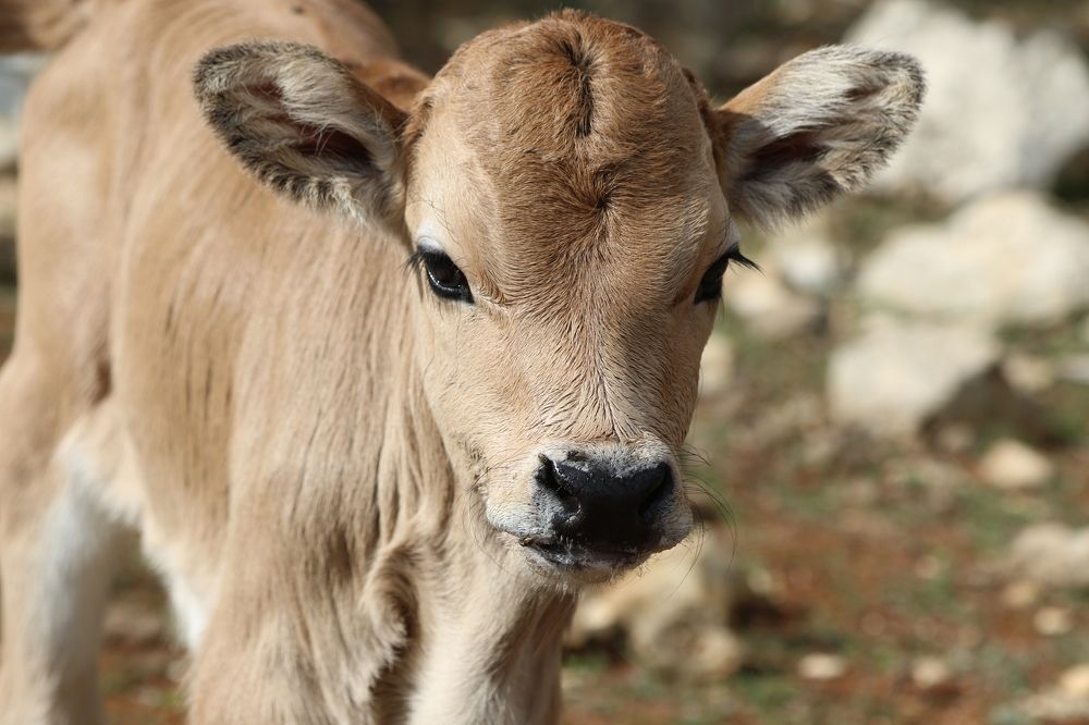 Photograph by Nadzeya