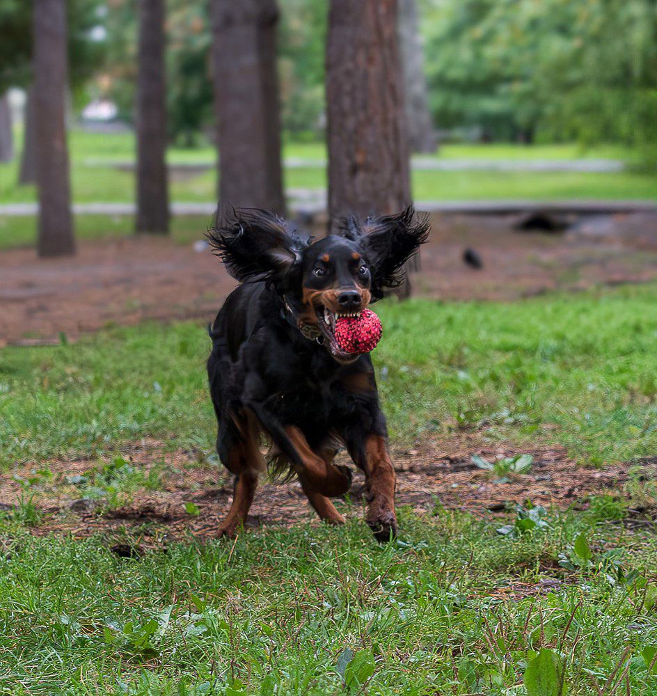 Photograph by Ольга Ченцова